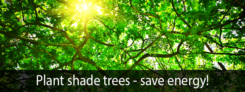 PLANT SHADE TREES - SAVE ENERGY