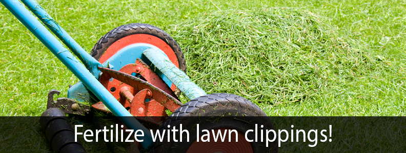FERTILIZE WITH LAWN CLIPPINGS