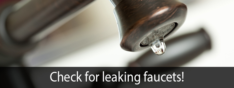 CHECK FOR LEAKING FAUCETS